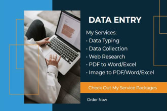 data typing work in ms word, excel and pdf editor