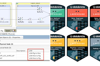 your databricks certification trainer and odi developer