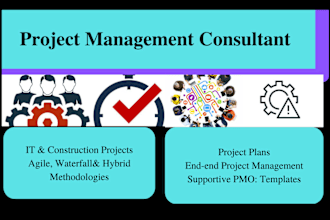 write project management plan, project documents, and do project management