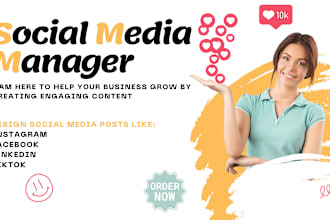 manage your social media and design business ads