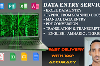 do microsoft office word, excel, and google sheet projects