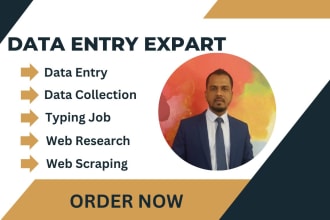 do perfect data entry, web research and typing job