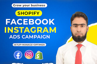 set up perfect facebook and instagram  paid meta ads campaign