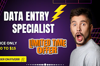 do data collection and excel data entry
