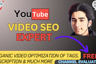 do best youtube video SEO expert optimization and channel growth manager