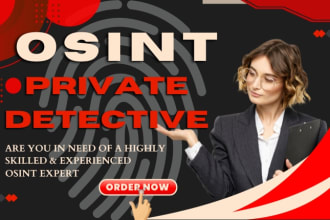 advanced osint expert and private info investigate with data analysis