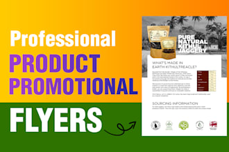 design professional product promotional flyers
