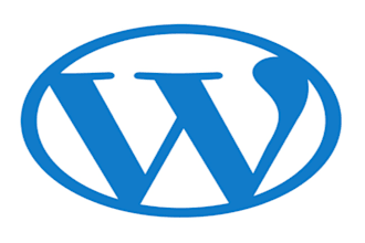 create or fix issues in wordpress website