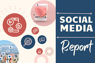perform insightful social media audit report for you