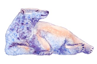 create amazing animals and birds by watercolor
