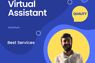 be your virtual assistant for data entry and data enrichment
