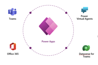 build custom powerapps, power automate, power bi, sharepoint