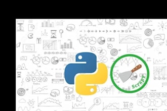 do your project in python