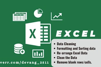 do excel data entry, excel data cleaning and formatting, copy past work
