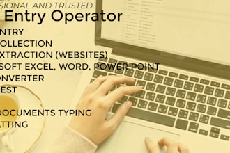 do data entry, word, database editing, copy paste and typing