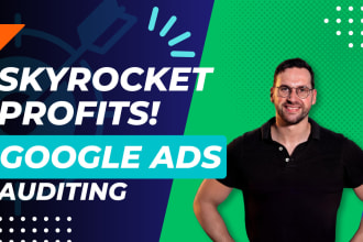 professionally audit your google ads account and campaigns