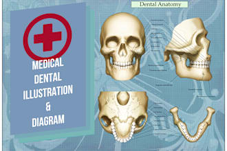 do any medical, dental illustration or diagram
