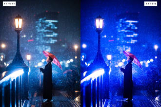 deliver custom lightroom presets