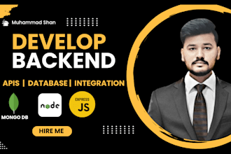 expert nodejs developer for backend integration and apis development