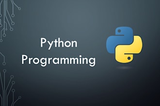 do any project in python