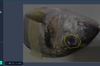 provide professional image annotation and ai services
