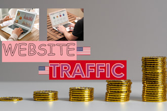 website traffic ,website organic seo promotion