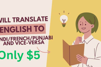 professionally manually translate english to hindi french or punjabi viceversa