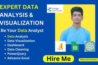 be your data analyst, excel, power bi,data visualization,looker studio expert