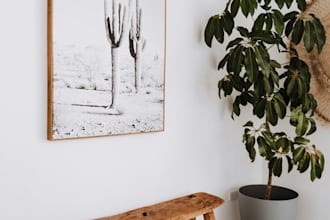 do architectural, interior, exterior and landscape design