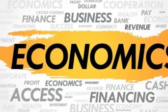 do economics essays, microeconomics and macroeconomics