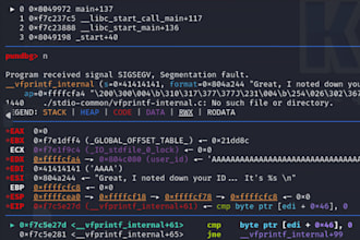 reverse engineer linux and windows applications