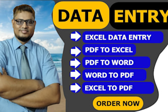 be your excel , word, pdf data entry expert