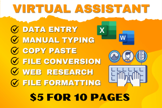 do ms word typing, data entry and file conversion