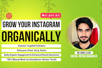 do instagram promotions organic growth and daily posts