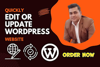quickly update or edit wordpress website