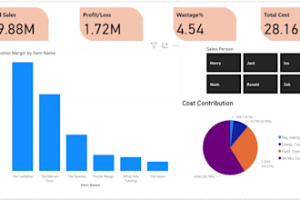 provide expert power bi data analysis and visualization
