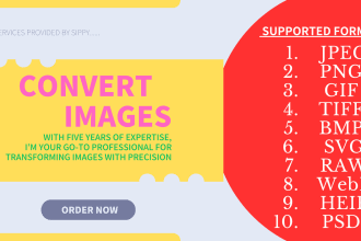 convert your camera images to any desire format