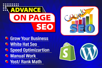do wordpress onpage SEO service