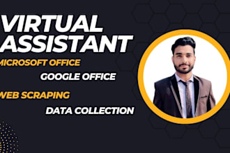 professional virtual assistant for office work and reports maker