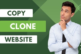redesign copy clone website and design wordpress website