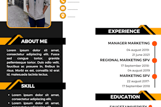 expert CV designer and resume maker