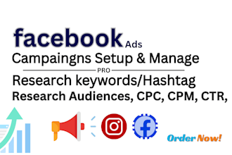 run and manage facebook ads campaigns, meta ads marketing for your business