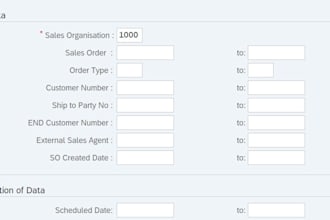 support  sap abap developments  modifications  alv reports