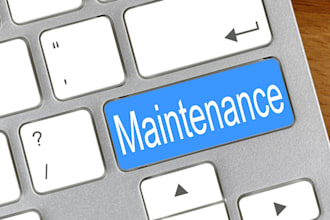 do maintenance of woocommerce store and provide support