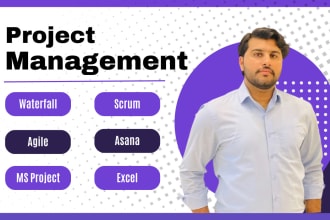 do project management, software engineering projects