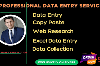 do data entry, copy paste, web research, excel data entry and email list work