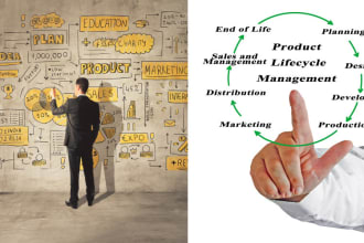 be your business analyst, product manager and product owner
