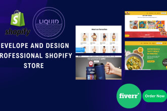 be your professional shopify liquid developer and bug fixer
