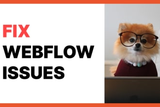 redesign and organize the styles and  layout webflow