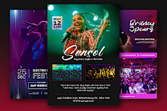 press kit, media kit, speaker kit, one sheet,  epk, or sports flyer